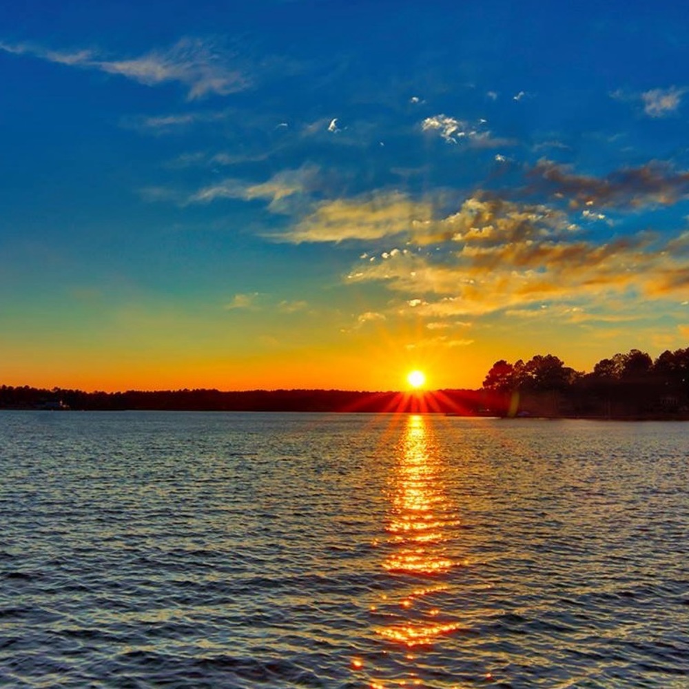 #12 Show Listing